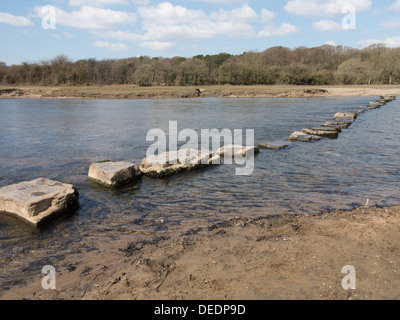 Stepping stones through the River Ogmore, Bridgend, Wales, UK Stock Photo