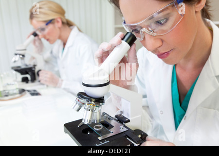 female medical or scientific researcher or doctor using her microscope in a laboratory with her colleague Stock Photo