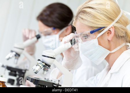 Female medical or scientific researcher or doctor using her microscope in a laboratory with her colleague Stock Photo
