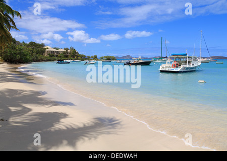 Beach in Cruz Bay, St. John, United States Virgin Islands, West Indies, Caribbean, Central America Stock Photo