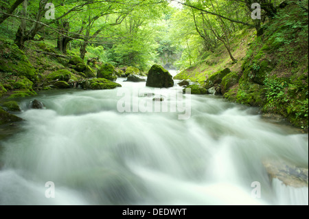 The so called 'White River' in the bulgarian Balkan mountains near the town Kalofer. Stock Photo