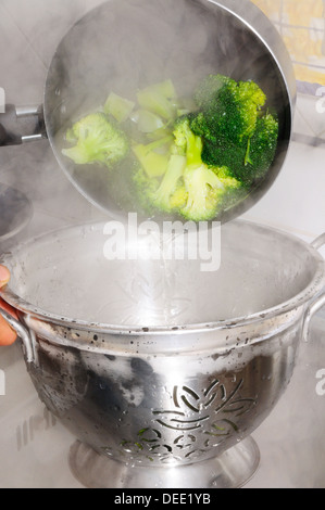 Emptying broccoli from a saucepan into a colander. Stock Photo