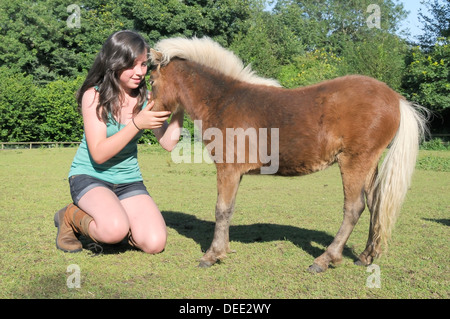 Girl stroking American miniature horse (Equus caballus) foal, Wiltshire, England, United Kingdom, Europe Stock Photo