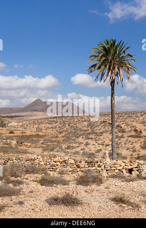 Volcano Caldera de Gairia, Tuineje, Fuerteventura, Canary Islands, Spain, Europe Stock Photo