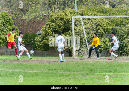 Junior football players striking the ball in front of the goal , Cape Town, South Africa Stock Photo