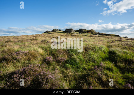 Bellever Tor in late summer with flowering pink heathers, Dartmoor National Park Devon Uk Stock Photo