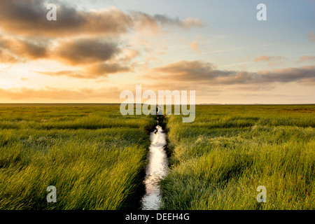 Salt Meadow with a small ditch during sunrise Stock Photo