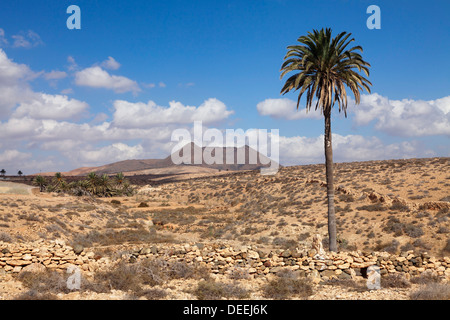 Volcano Caldera de Gairia, near Tuineje, Fuerteventura, Canary Islands, Spain, Atlantic, Europe Stock Photo