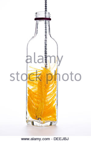 Download Yellow Bottle Brush Cleaner Inside Clear Glass Transparent Bottle On Stock Photo Alamy PSD Mockup Templates