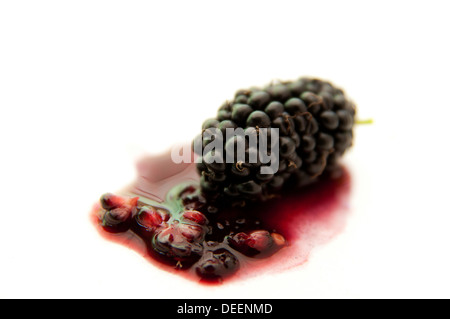 The blackberry is an edible fruit produced by many species Stock Photo