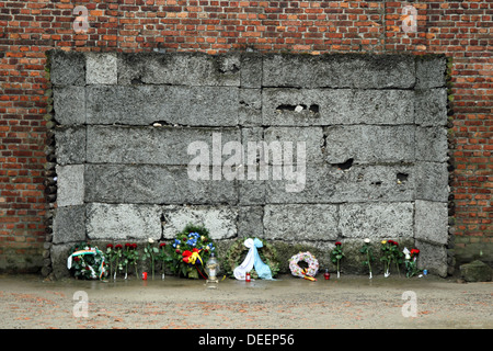 The wall of death at Auschwitz in between blocks 10- and 11. Flowers have been left as a memorial to the victims. Stock Photo