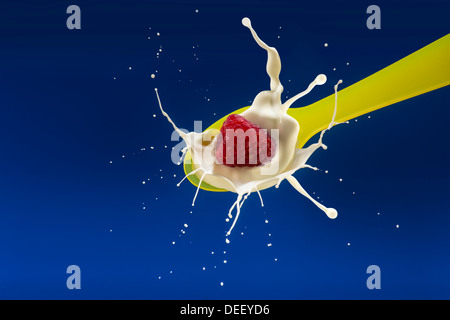 Red Raspberry Dropping In To Spoon With Milk Stock Photo