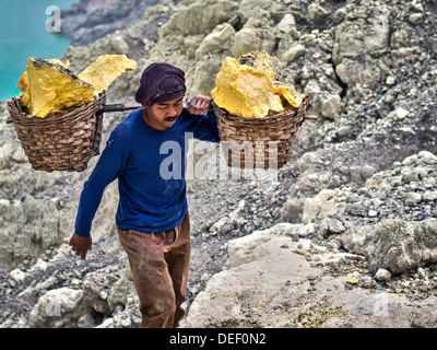Sulfur miner carrying load of solid sulfur at the Kawah Ijen volcano in Indonesia. Stock Photo