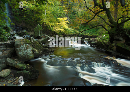 Mallyan Spout Waterfall and West Beck Goathland, North York Moors.  Autumn 2012 Stock Photo