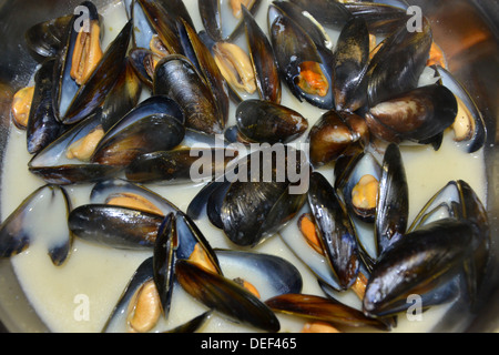 mussels in sauce Stock Photo