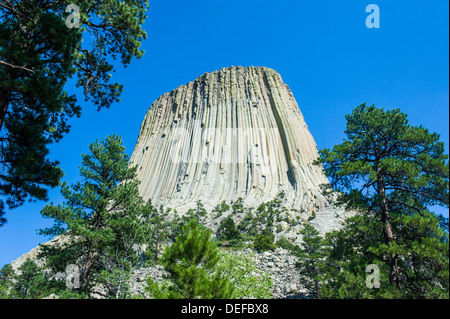 Devils Tower National Monument, Wyoming, United States of America, North America Stock Photo