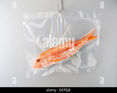 Fish in a vacuum bag Stock Photo