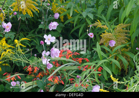 Colorful random tangle of mixed border flowers intertwined leaning over partly due to rain and wind Stock Photo