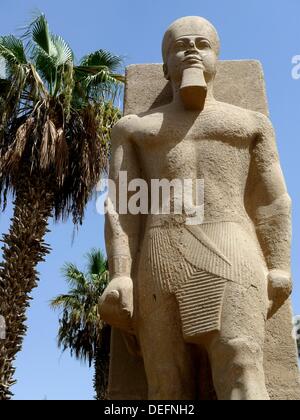 Ramsés escultura, Museo de Memphis, Egipto Stock Photo - Alamy