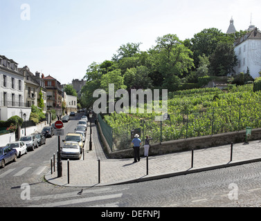 The Clos Montmartre vineyard, created in 1933 on waste land, Rue des Saules, Montmartre, Paris. Stock Photo