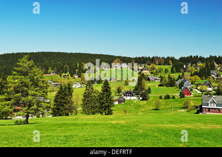 Pasture and forest, Erzgebirge, Saxony, Germany, Europe Stock Photo