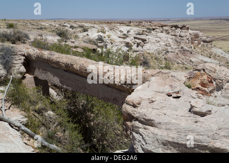 Agate Bridge, a petrified log spanning ravine, Petrified Forest National Park, Arizona, United States of America, North America Stock Photo