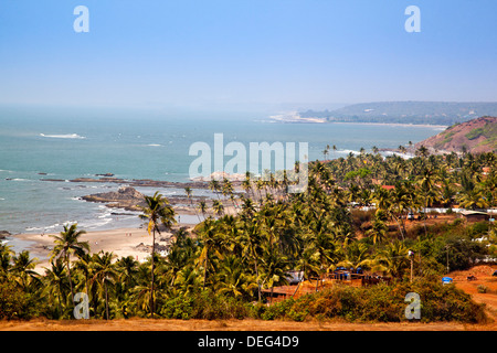 Palm Trees on the beach, Vagator, Bardez, North Goa, Goa, India Stock Photo