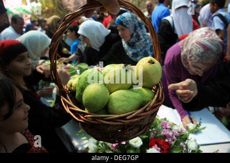 Sept. 18, 2013 - Qalqilya, West Bank, Palestinian Territory - Palestinians take part in the guava festival in the West Bank city of Qalqilya, Sept. 18, 2013  (Credit Image: © Nedal Eshtayah/APA Images/ZUMAPRESS.com) Stock Photo