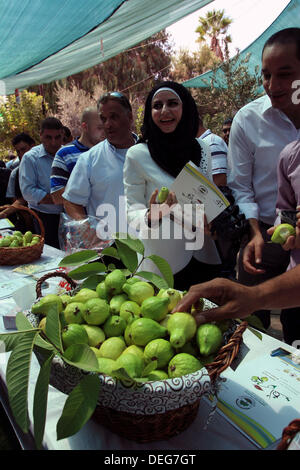 Sept. 18, 2013 - Qalqilya, West Bank, Palestinian Territory - Palestinians take part in the guava festival in the West Bank city of Qalqilya, Sept. 18, 2013  (Credit Image: © Nedal Eshtayah/APA Images/ZUMAPRESS.com) Stock Photo