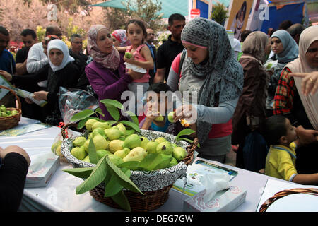 Sept. 18, 2013 - Qalqilya, West Bank, Palestinian Territory - Palestinians take part in the guava festival in the West Bank city of Qalqilya, Sept. 18, 2013  (Credit Image: © Nedal Eshtayah/APA Images/ZUMAPRESS.com) Stock Photo