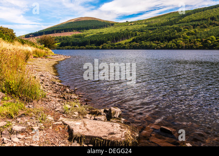 View over the Talybont Reservoir in the Brecon Beacons, Wales, UK Stock Photo