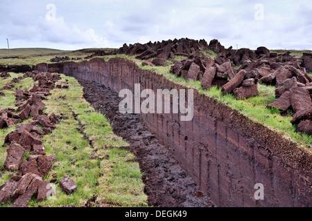 Peat Cutting; Yell; Shetland; UK Stock Photo