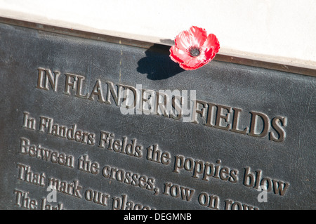 In Flanders Fields - John Mccrae