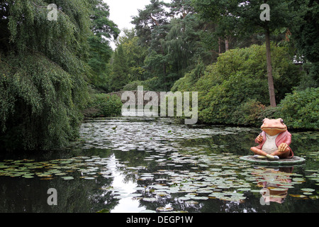 Mr. Jeremy Fisher floating on a pond by a bridge at Hodnet Hall Stock Photo
