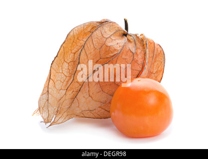 Physalis fruit closeup isolated on white Stock Photo