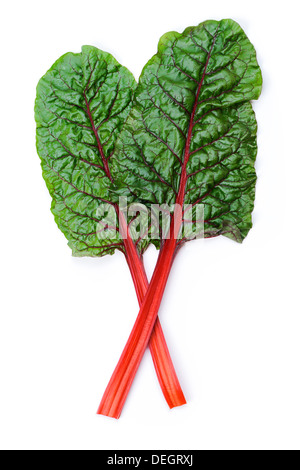 Two leaves of Mangold or Swiss chard isolated on white Stock Photo