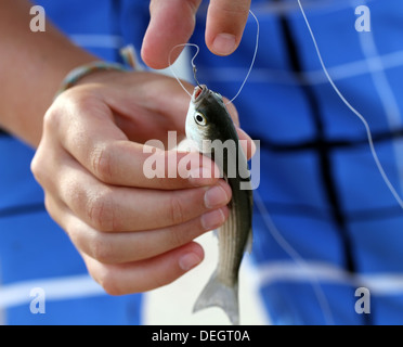 Little fish caught on hook in the arms Stock Photo