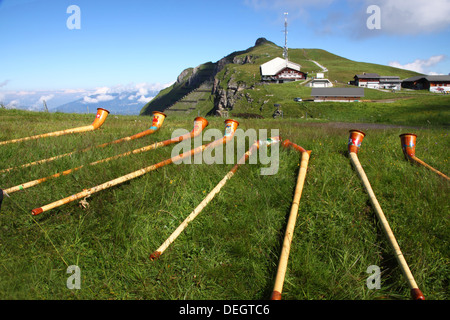 A line of Alpenhorns on a grassy bank, Switzerland Stock Photo