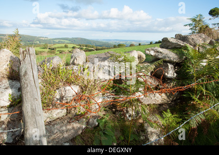 Rusty red barbed wire against stone wall on Dartmoor Stock Photo