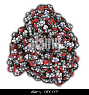 Cytochrome p450 (CYP3A4) protein molecule. Liver enzyme that plays an important role in drug detoxification. Stock Photo