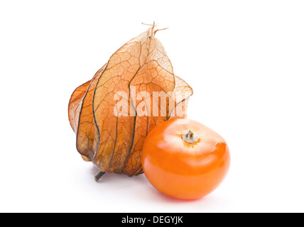 Physalis fruit closeup isolated on white Stock Photo