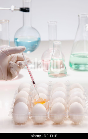 Asian people engaging in nurturing research Stock Photo