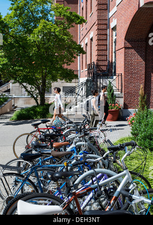 Attractive campus and student life in the commons, Brown university, Providence, Massachusetts, USA Stock Photo