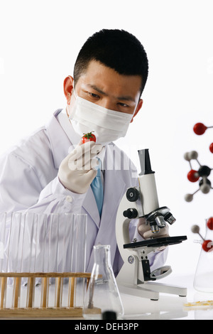 Asian people engaging in nurturing research Stock Photo