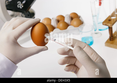 Asian people engaging in nurturing research  Stock Photo