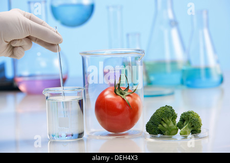 Asian people engaging in nurturing research Stock Photo