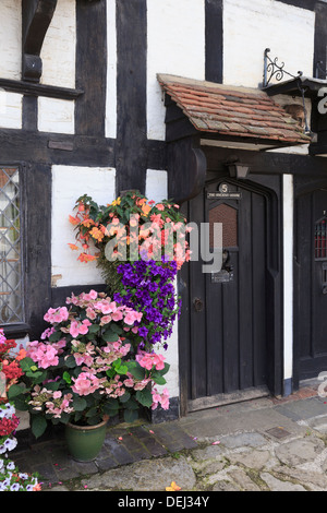 Flowers around a door on the pavement at the front of an old timbered cottage in Biddenden, Kent, England, UK, Britain Stock Photo