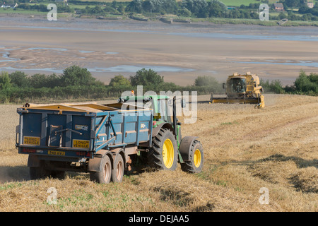 Field being harvested by combine harvester with tractor pulling trailer to collect the grain in field on banks of River Severn Stock Photo