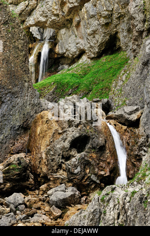 A 'screaming face' in a contorted rock at Gordale Scar, Malham, Yorkshire Dales National Park, England Stock Photo