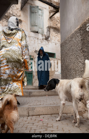 Back streets in Moulay Idriss Zerhoune, Morocco Stock Photo